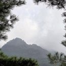 체류형 농막 쉼터 &amp; 한옥체험 사업 (88)