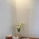 청단풍 | 청단풍 제주 디저트 카페 맛집 추천