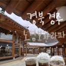 라파동물병원 | 경북 경주 노경보차라파 365일 비오는 한옥카페 동물도 있어 더 특별한 대형카페 내돈내산
