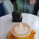 어디카페 이미지