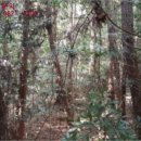 서호동-1 이미지