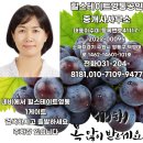 세안공인중개사사무소 이미지