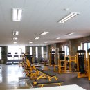 노익스큐즈 이미지