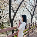 부천로354번길 이미지