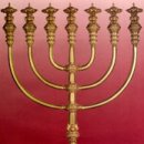 새일초등학교 이미지