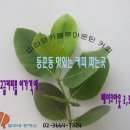 등촌1동주민센터 이미지