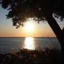 솔섬민박 이미지