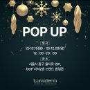 가-12 | 연말 가볼만한 곳, 12월 루미덤 DDP 팝업스토어 후기 💗💝