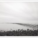 바다이야기 이미지