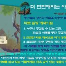 웨이트 타로 마이너 아르카나 펜타클 9(Nine of Pentacles) 카드의 핵심 메시지와 현실적인 조언 이미지