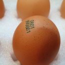 등고개농장 이미지