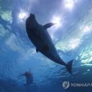 울산광역시 남구 도시관리공단(고래생태체험관)