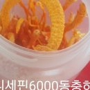 쌍별귀뚜라미협동조합 네이버블로그