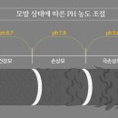 연화헤어 - 동구 팔공로30길 8-1 | 연화헤어
