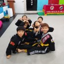 용인대 검무관 네이버블로그