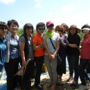 영순농장 이미지