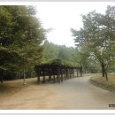 꽃우물공원 이미지
