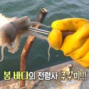 섬덕회센타
