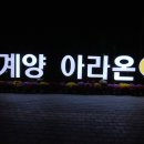 계양아라온 국화 백일홍축제 이미지