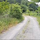 최정의농장 이미지