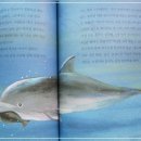 바다로 돌아간 제돌이 - 돌고래와 함께 사는 건강한 세상 이미지