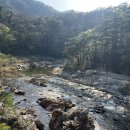 스테이울진 이미지