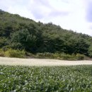 법흥2리 이미지