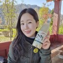 선우여행사 네이버블로그