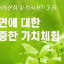 동면 숨골로 강원 네이버블로그