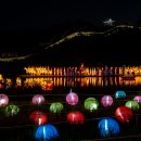 공주-65 동양일보