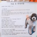 개어드레서 이미지