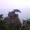 눈앞에 바다 이미지