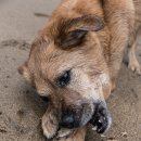 수색동물병원 이미지