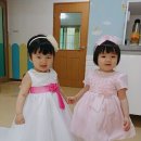 새들목장 이미지