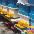 상복농장 이미지