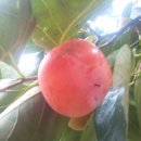 박종기농장 이미지