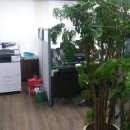 뽑기구역 이미지