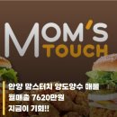 맘스터치 양도양수 창업 비용 후기 안양점 실제 수익구조 대공개