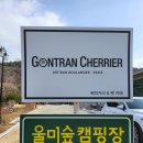 울미숲카페