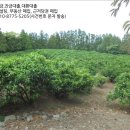 선흘1리보건진료소 이미지