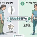 허리나 연구소 이미지