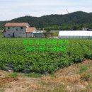 행정리 마을회관 이미지