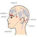 성원한의원 네이버블로그