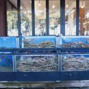 스타대게횟집 이미지