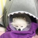 혜인동물병원 이미지