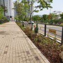 수원중촌초등학교 이미지