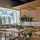 씨유대전선화힐링점 | [대전 은행동] 봄 느낌 가득한 감성 카페 '카운트 커피 선화'(내돈내산)