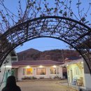 초암황토방민박 | 자연에서 힐링을, 밥잘주는 민박집 밀양 아모르 솔직후기