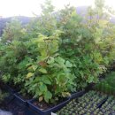 영림농장 이미지