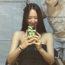 와일드 플라워 이미지